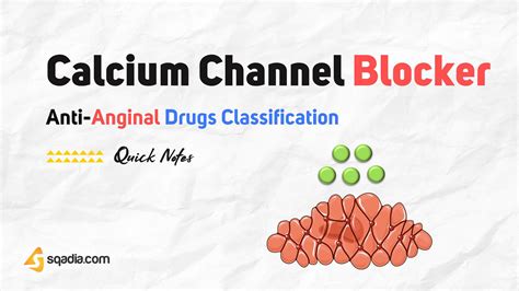 soursop and calcium chanel blocker|calcium channel blockers for blacks.